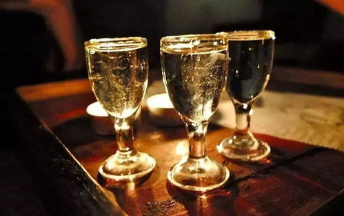 金樽黑酒 與講究者共飲，一場流動的儀式