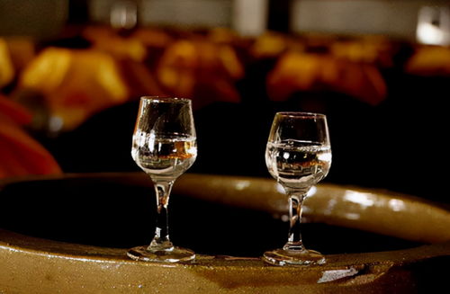 別錯過！3款好喝不貴的平民糧食酒，遇到多買幾箱